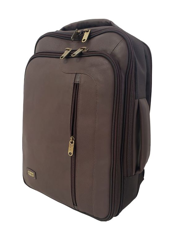 102A Chileno - Brown (28)